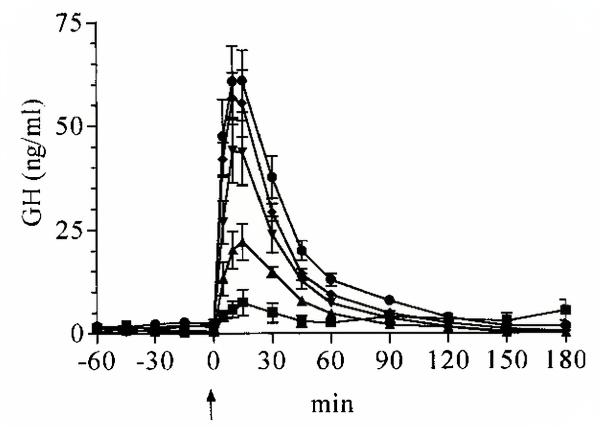 Ipamorelin Promotes Growth Hormone Secretion