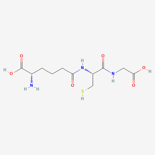 1-HCG1000