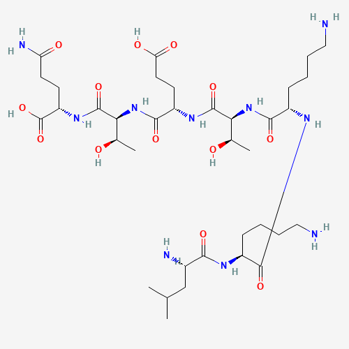 What is TB 500 Fragment (17–23)? 