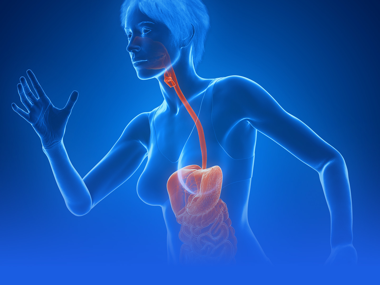 Metabolic and Endocrine Regulation