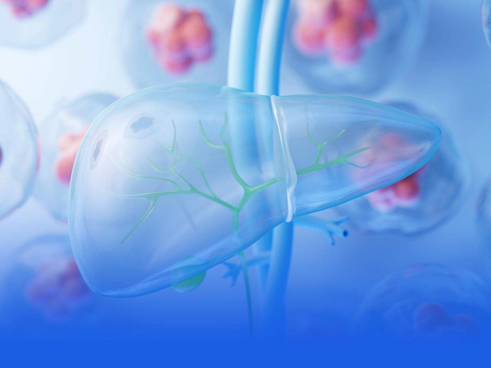 Antioxidation and Liver Health