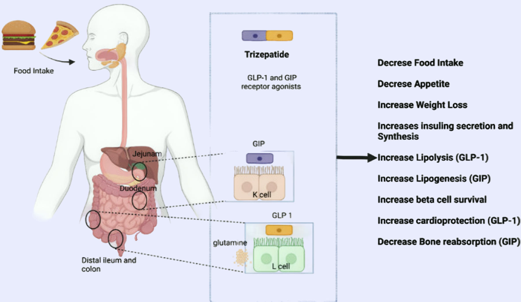 Tirzepatide: Effectively Controlling Blood Sugar Levels