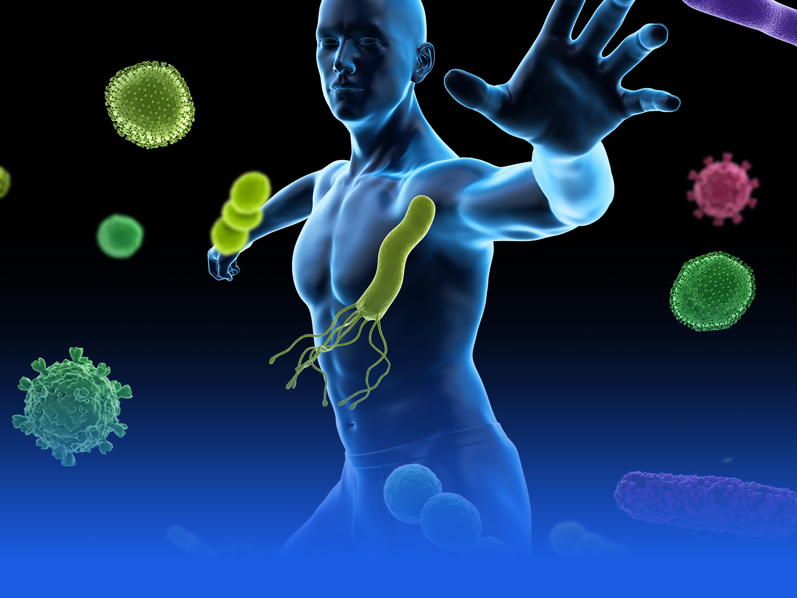 Immunity and Anti-inflammation